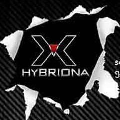 Hybriona Labs logo