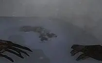 mod image