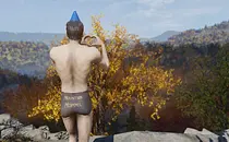 mod image