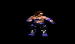 Fire Pro Wrestling World Pc Mods Gamewatcher