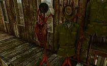 mod image