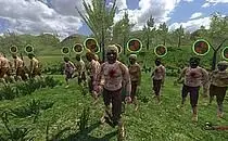 mod image