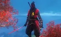 mod image