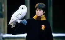 Hogwarts Legacy HP Background Music in RoR