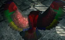 mod image
