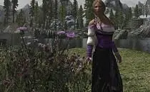 mod image