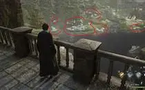 Hogwarts Legacy White Bushes Fix