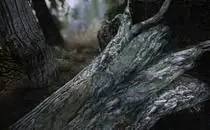 mod image