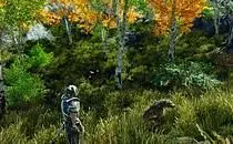 mod image
