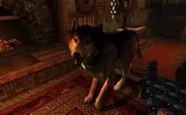 mod image