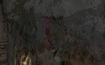mod image