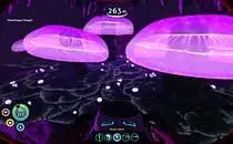 mod image