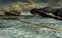 The Elder Scrolls V: Skyrim Randomly Distributed Items