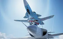 Ace Combat 7: Skies Unknown Saint Snow Mimic Replacer Mod