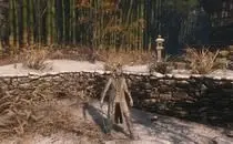 mod image