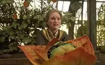 Hogwarts Legacy Plant Growing Time 1 minute
