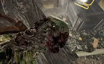 mod image