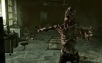mod image