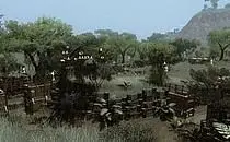 mod image