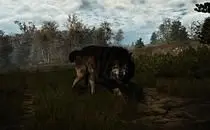 mod image