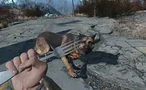 mod image