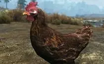 mod image