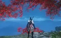 mod image