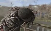 mod image