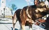 mod image
