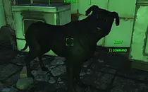 mod image