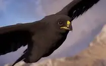 mod image