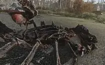 mod image