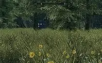 mod image