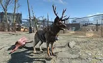 mod image