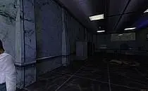 Half-life Black Death