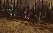 mod image