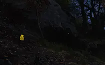 mod image