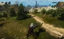 mod image