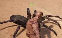 mod image
