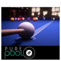 Pure Pool