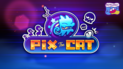 Pix the Cat