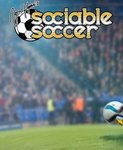 Sociable Soccer