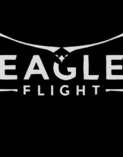 Eagle Flight