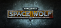 Warhammer 40,000: Space Wolf