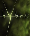 Hybris