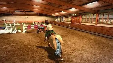 My Horse and Me