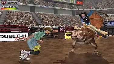 Professional Bull Rider