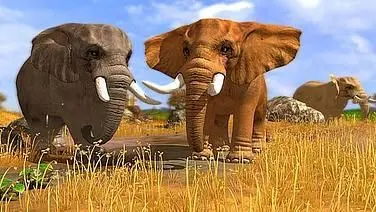 Wildlife Park 3