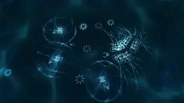 Sparkle Zero