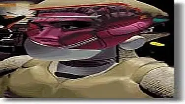 Forced Alliance